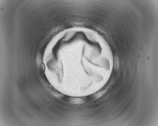 X0000085840287200704132111