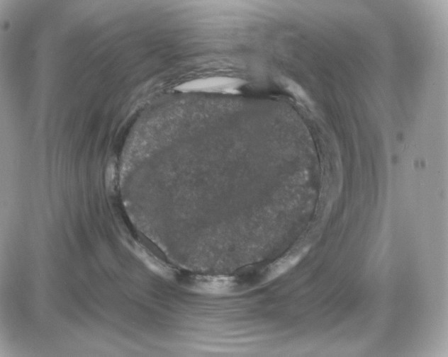 X0000085840288200704132111