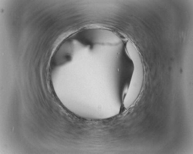 X0000085840289200704132110