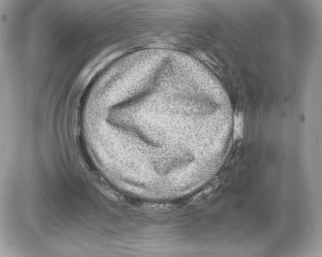 X0000085840291200704132110