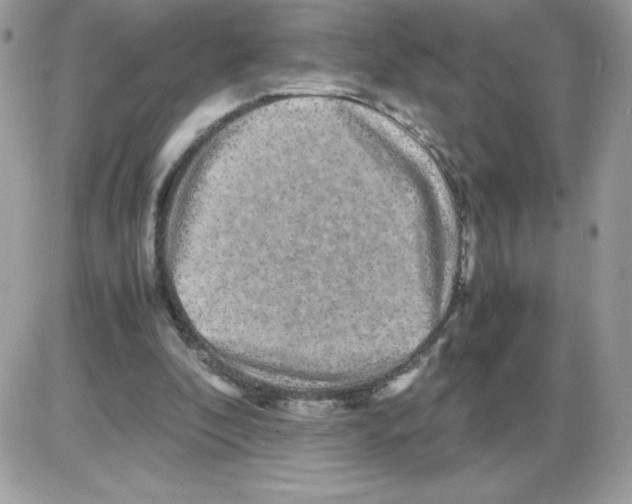 X0000085840296200704132110