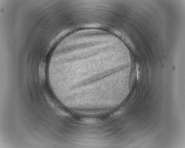 X0000085840300200704132110