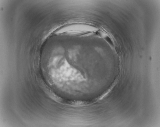 X0000085840301200704132110