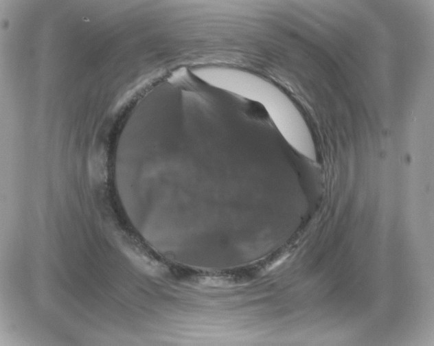 X0000085840303200704132110