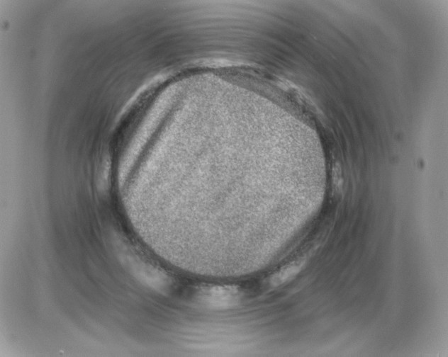 X0000085840304200704132110