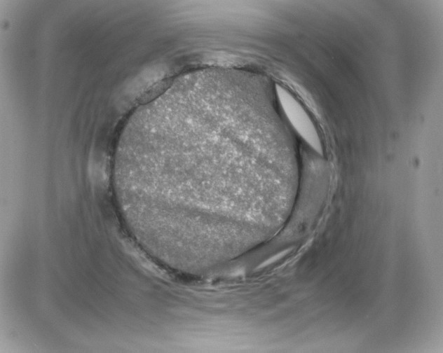 X0000085840305200704132110