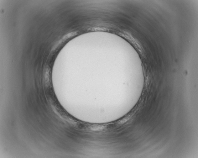 X0000085840306200704132110