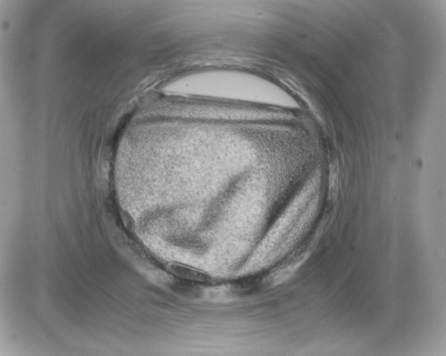 X0000085840309200704132110