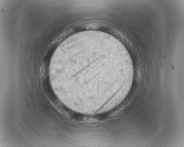 X0000085840311200704132110