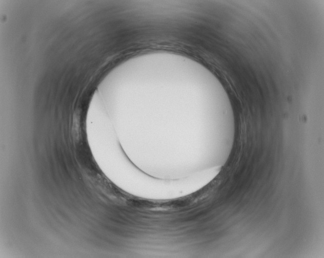 X0000085840312200704132110