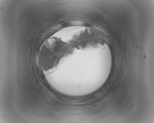 X0000085840315200704132110