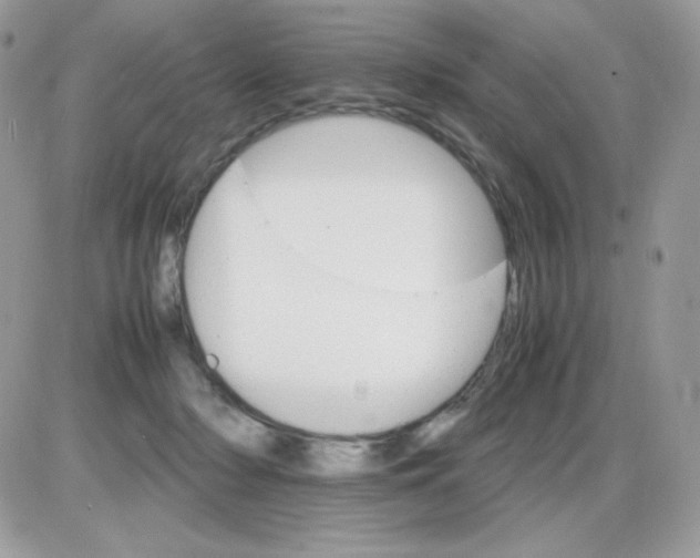 X0000085840318200704132110