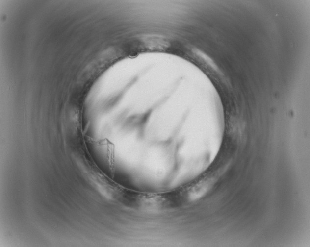 X0000085840321200704132110