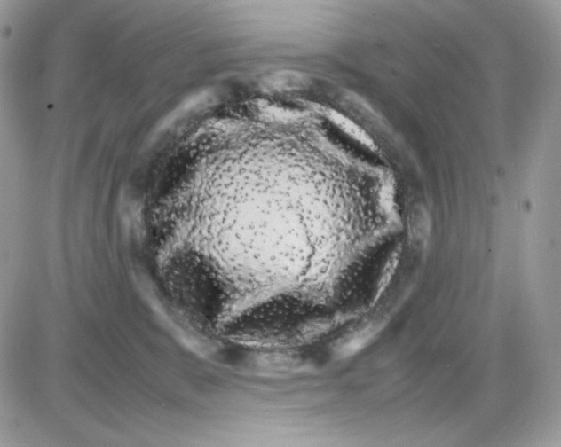 X0000085840327200704132110