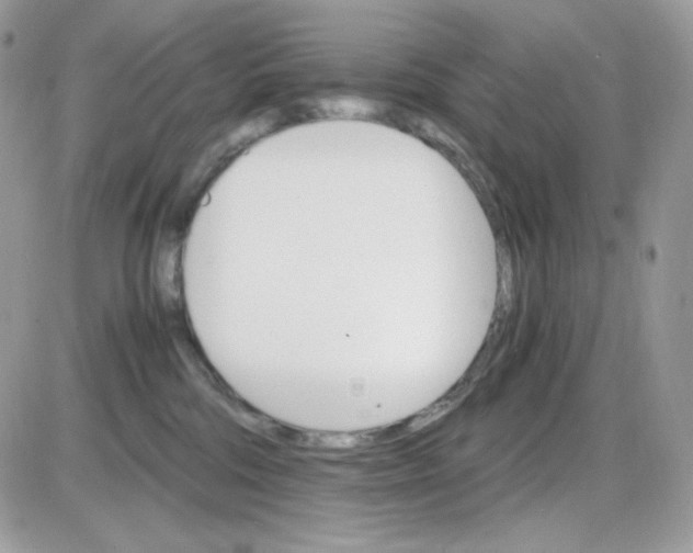 X0000085840330200704132110