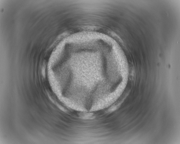 X0000085840334200704132110