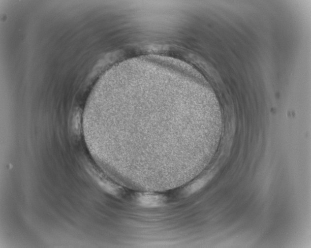 X0000085840336200704132110