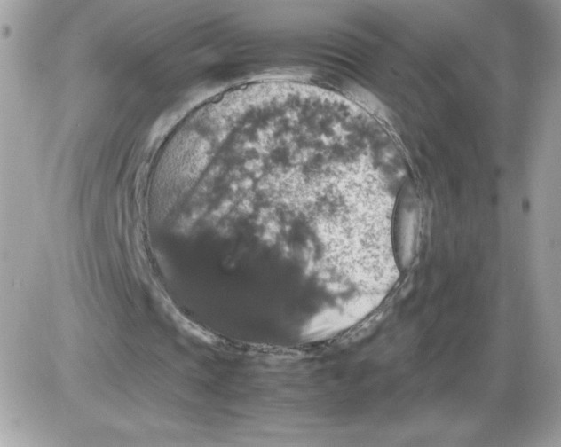 X0000085840337200704132109