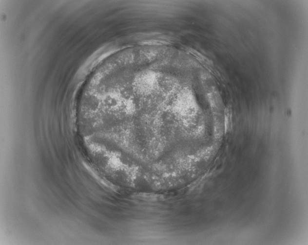 X0000085840339200704132109