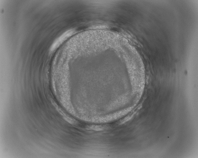 X0000085840341200704132109