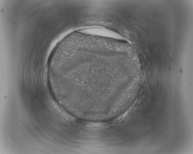 X0000085840342200704132109