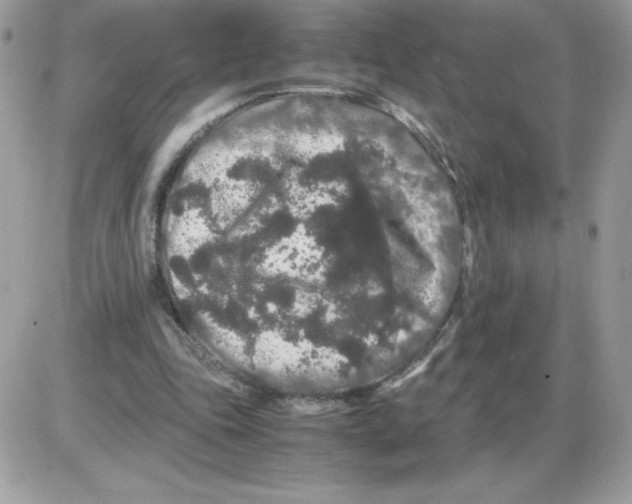 X0000085840343200704132109