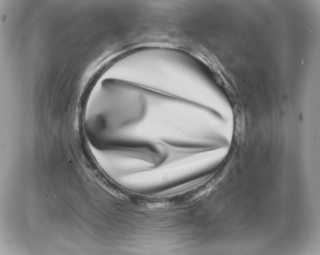 X0000085840344200704132109