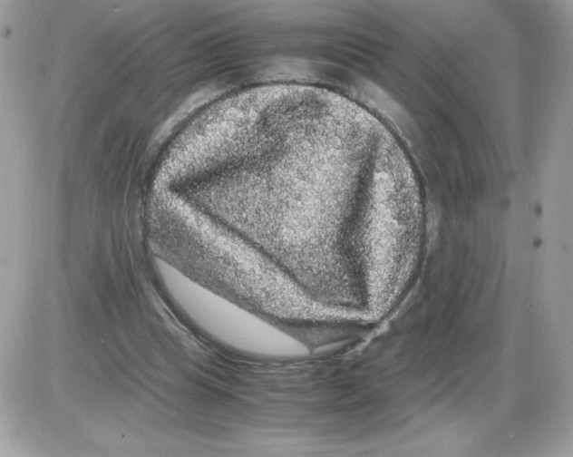 X0000085840345200704132109