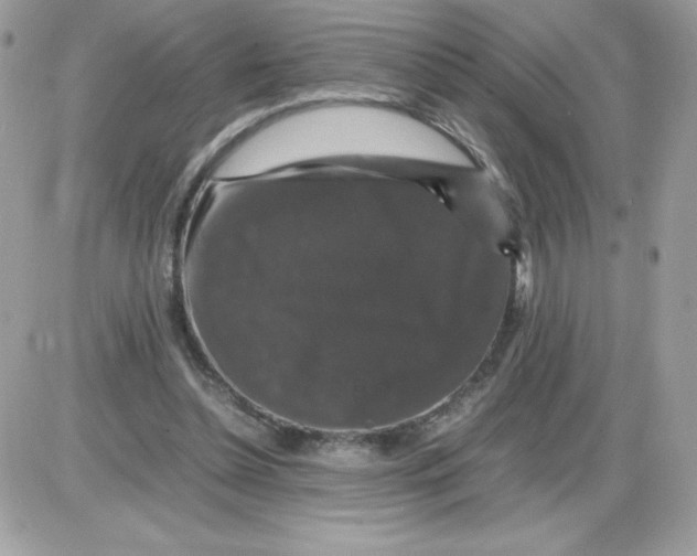 X0000085840348200704132109