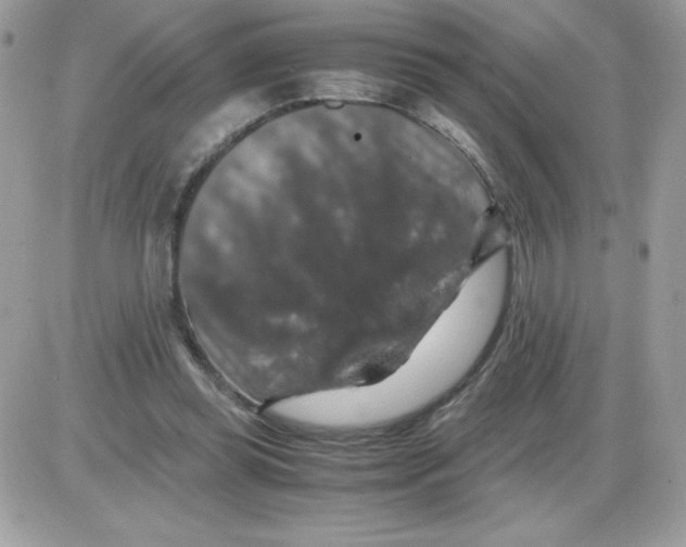 X0000085840349200704132109