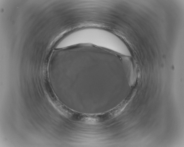 X0000085840352200704132109