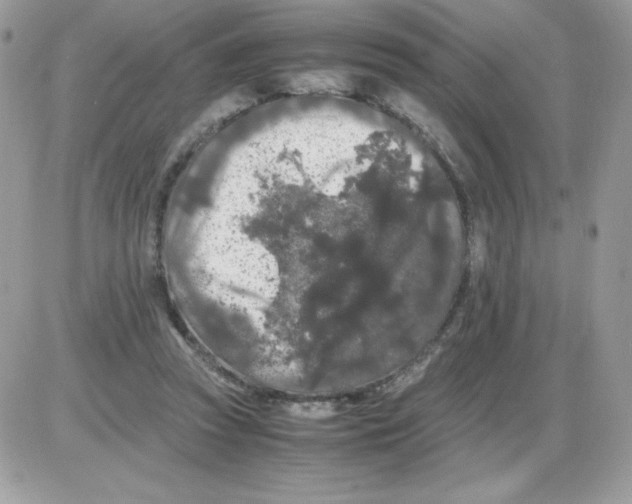 X0000085840353200704132109