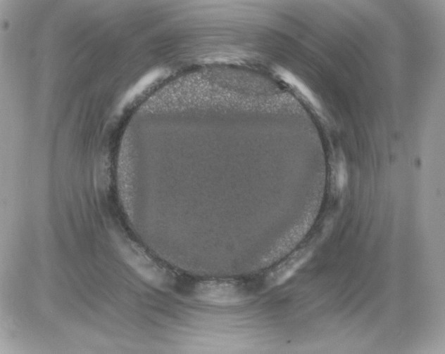 X0000085840354200704132109