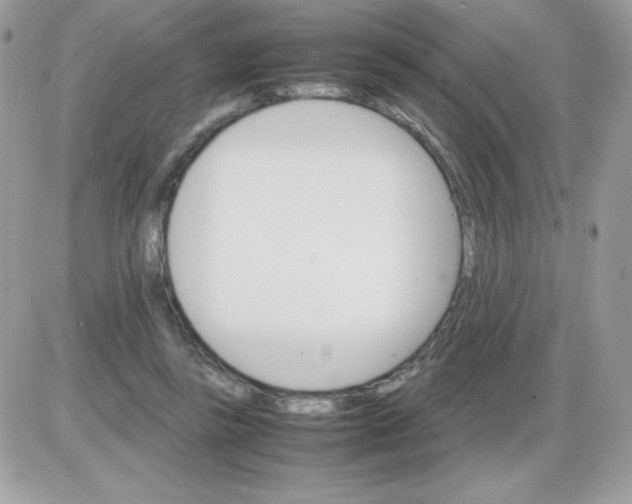 X0000085840355200704132109