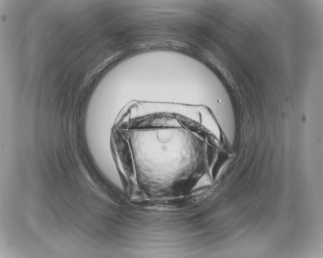 X0000085840356200704132109