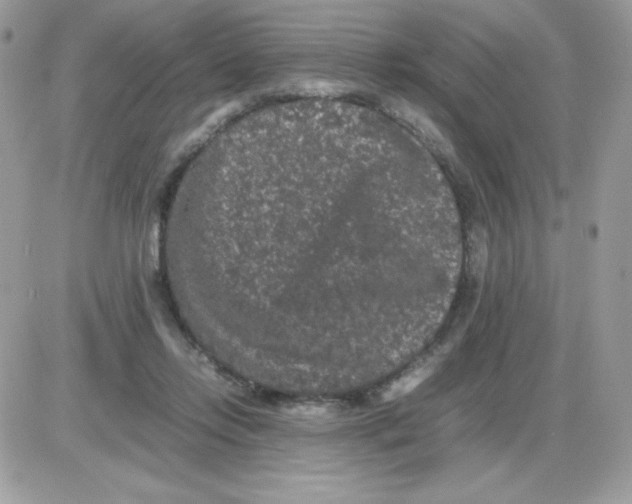 X0000085840358200704132109