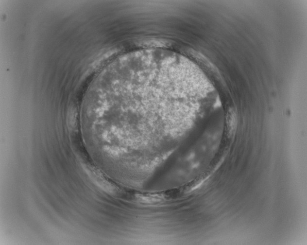 X0000085840359200704132109