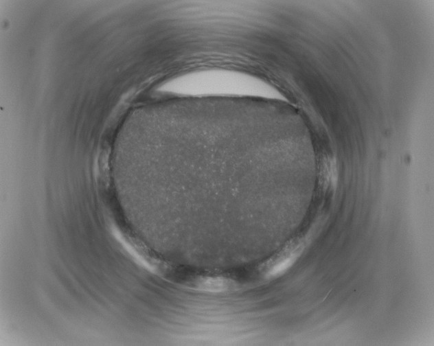 X0000085840360200704132109