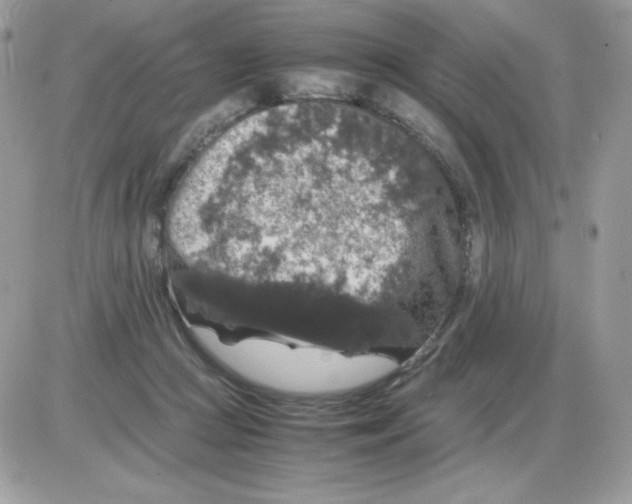 X0000085840361200704132109