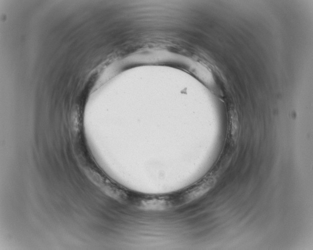 X0000085840362200704132109