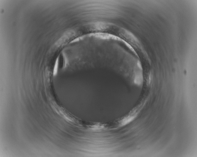 X0000085840366200704132109