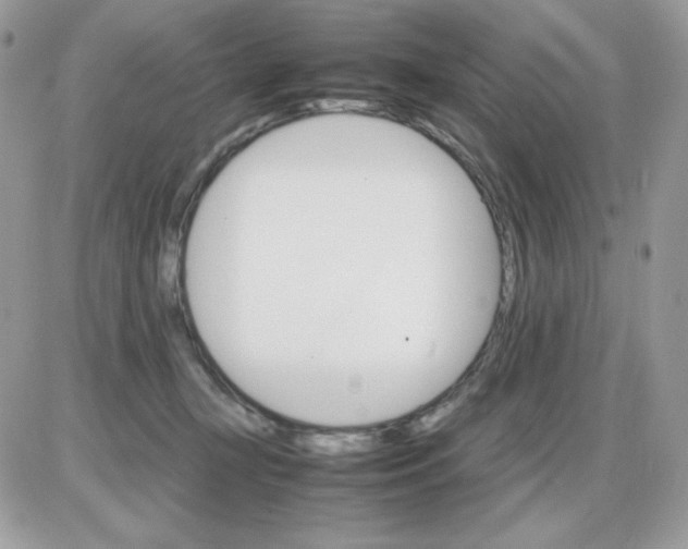 X0000085840367200704132109