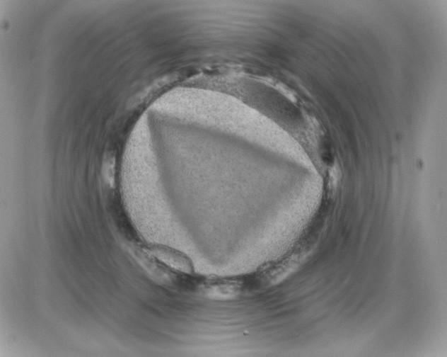 X0000085840368200704132109