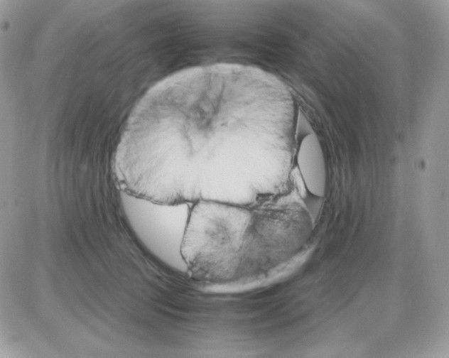 X0000085840369200704132109