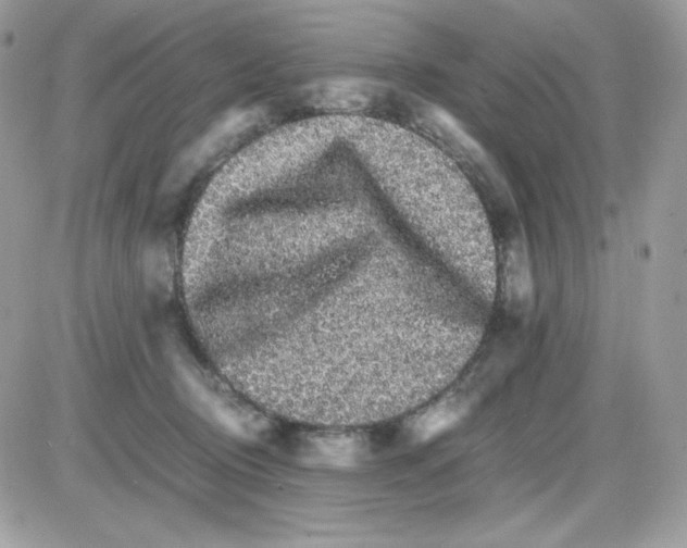 X0000085840370200704132109