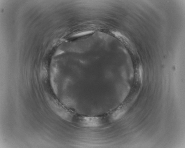 X0000085840371200704132109