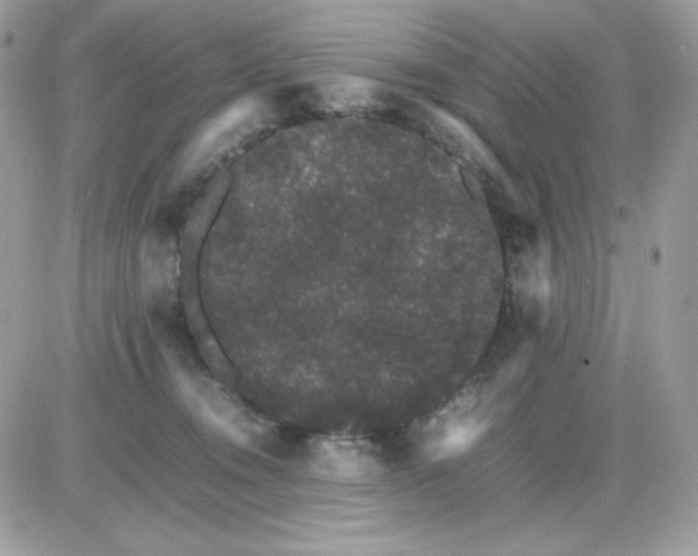 X0000085840372200704132109