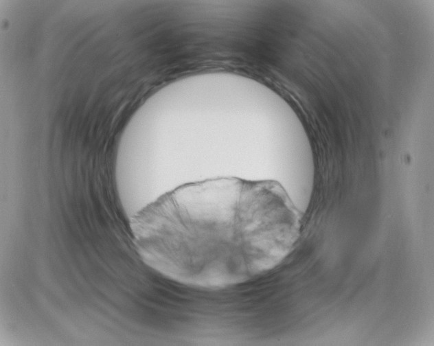 X0000085840373200704132109