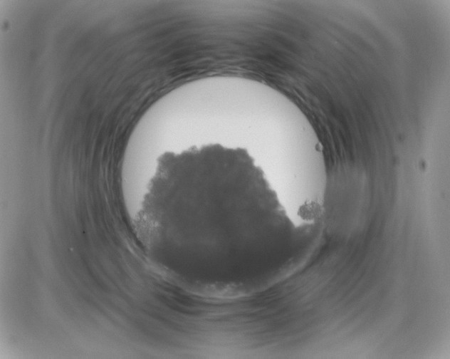 X0000085840375200704132109