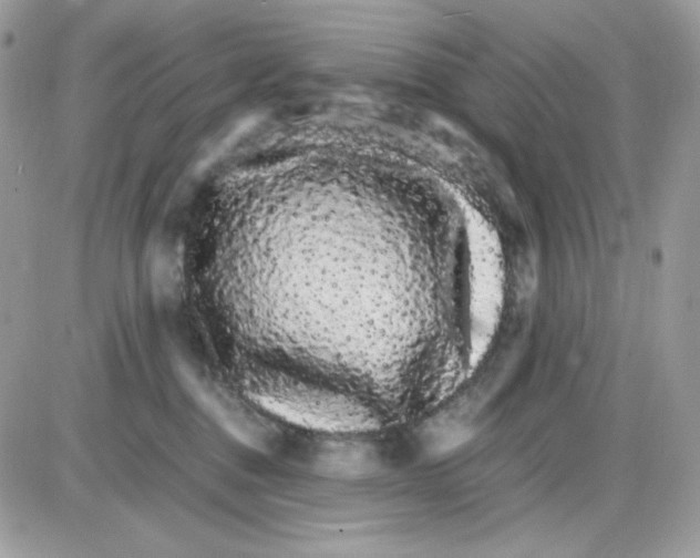 X0000085840376200704132109